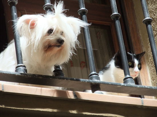 ... und aufmerksame Beobachter