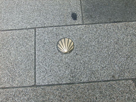 Immer der Muschel nach