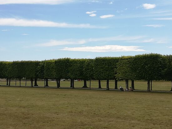 Blick in den Schloßpark