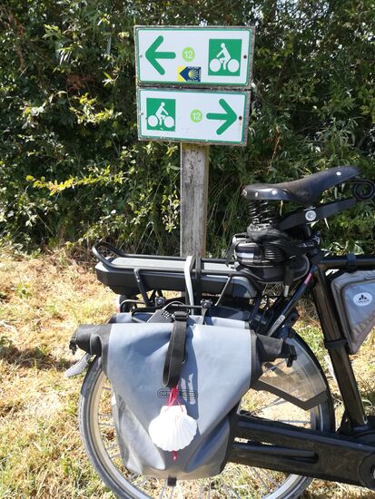 Die Muschel ist wieder da