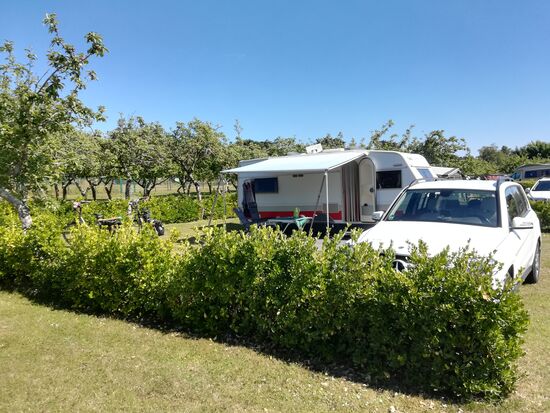 unser Zuhause für 14 Tage, vor der Obstplantage
