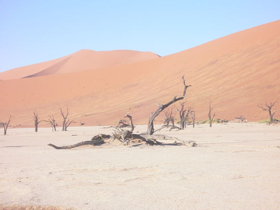 Dead Vlei
