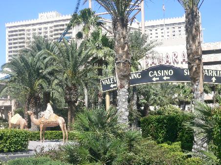 Hotel Sahara