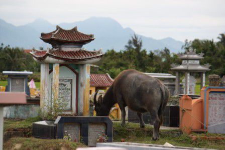 17.03.11 - Friedhof bei Hoi An