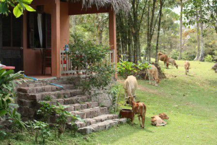 Mango Bay Resort auf der Insel Phu Quoc