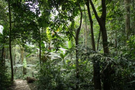 08.03.11 - Cuc Phuong Nationalpark