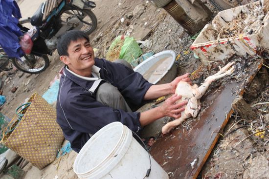 09.03.11 - auf dem Markt in Van Phuc wird alles ganz frisch bereitet