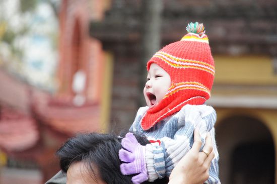 10.03.11 - ein ganz junger Pagodenbesucher