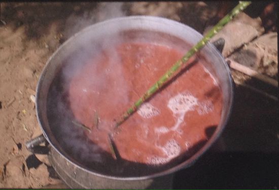 Hirsebier wird gekocht, mit Palmwedel als Rührstab