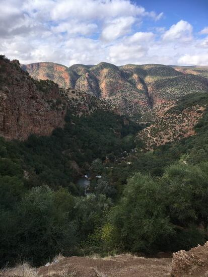 Blick in die Schlucht