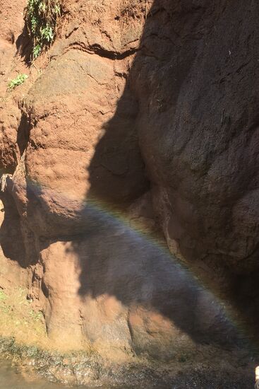 Regenbogen gibt es immer