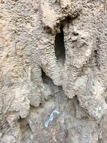 Hier drin soll jedenfalls eine Schlange wohnen. Ihren „Mantel“ hat sie vor dem Eingang abgelegt