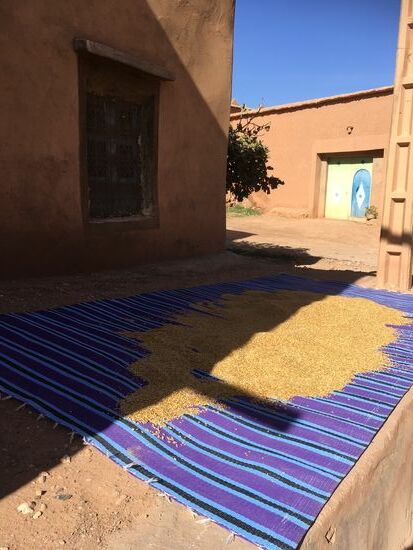 Im neuen Dorf wird Hartweizen getrocknet