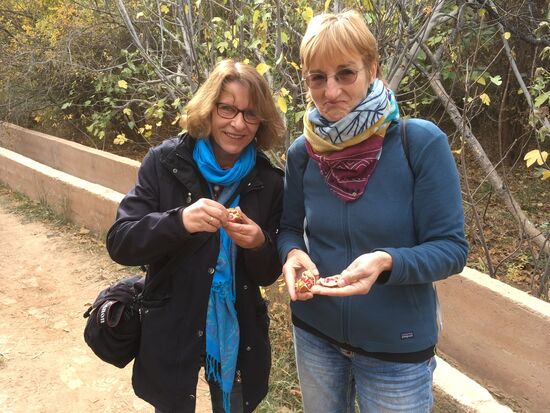 Sauere Granatäpfel probieren