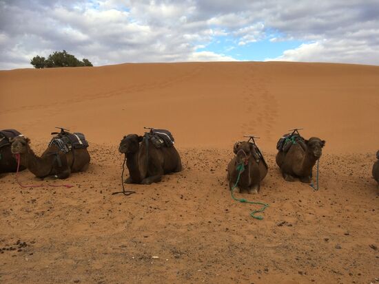 Sie warten nur noch auf uns