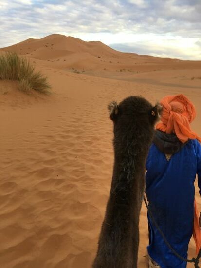 Noch ist Alibaba ganz vorn