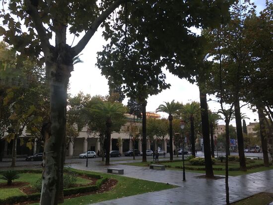 Fahrt durch Fès, die Straßen noch feucht vom Regen,