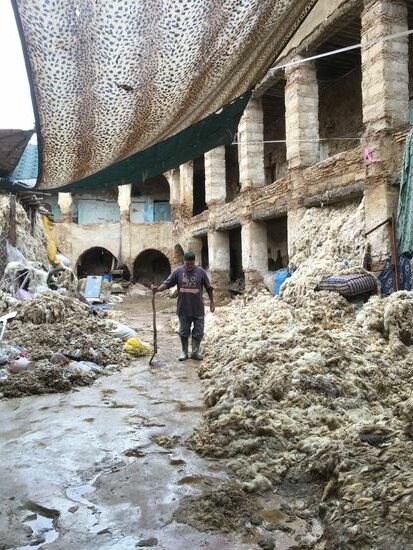 Von Regen durchtränkte Tierhaare und –Felle
