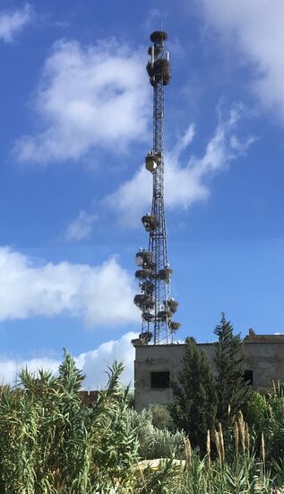 Der Mast mit den Storchennestern