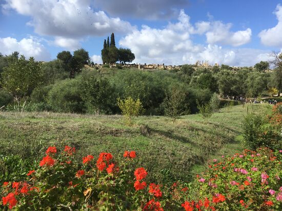 Blick auf die römische Stadt