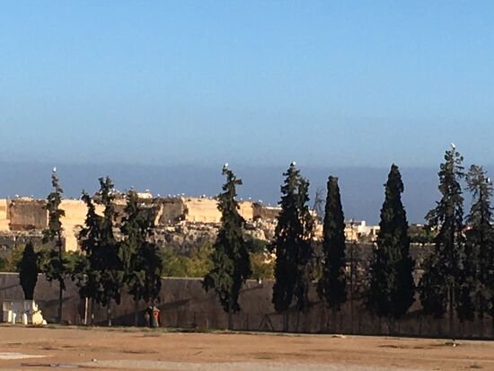 Störche auf Baumwipfeln und den Ruinen der Paläste der Konkubinen des Sultans