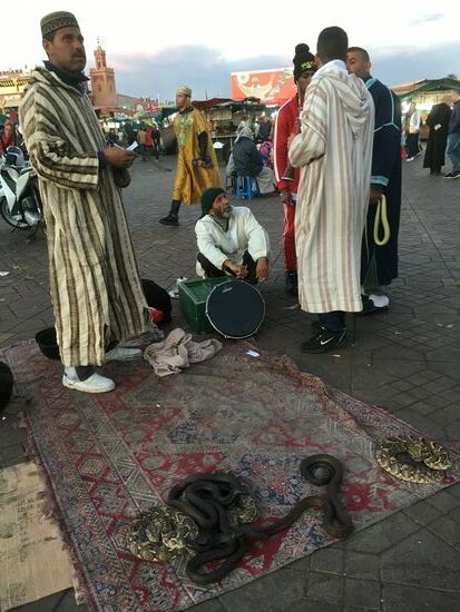 Schlangenbeschwörer