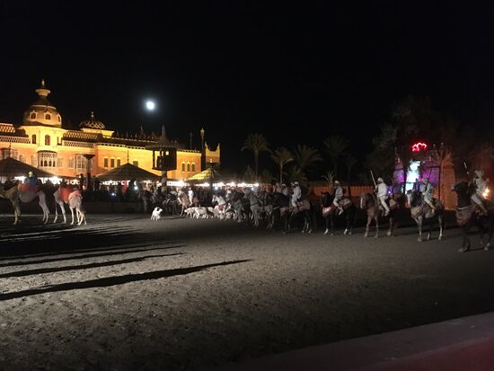 Reiter zeigen ihr Können