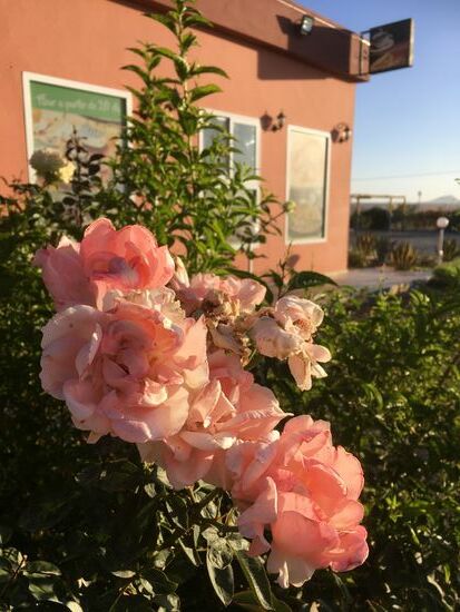 An einer Raststätte