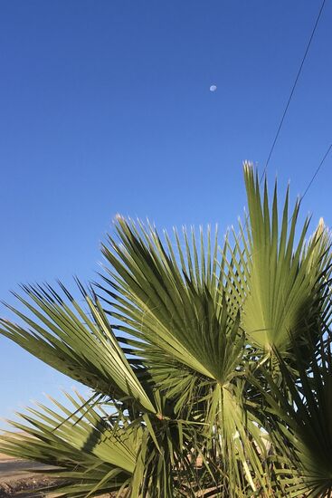 09:10 Uhr am 16.11.19 – der Mond ist noch nicht untergegangen