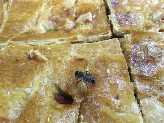 Bienen sehen hier anders aus