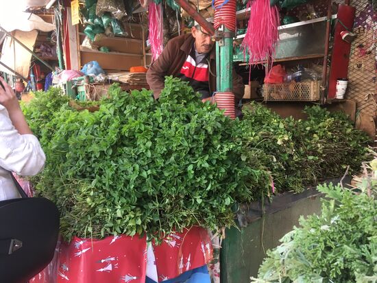 Kräuter – dieser Duft !