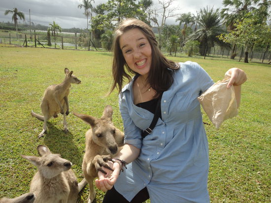 und ziemlich gierige Kaengurus!