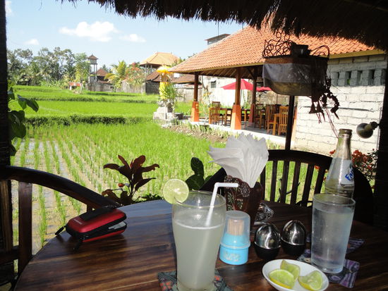 Unser Lieblingsrestaurant in Ubud