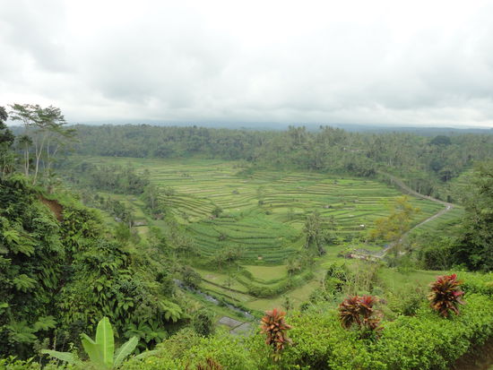 Reiseterrassen in Sidemen