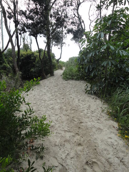 Weg vom Hostel zum Strand