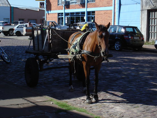 Brasil. Wegfahrsperre bzw. Parken mit Handbremse