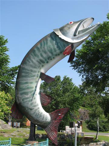 Symbol für die ungewöhnlich grossen Fische die hier im Lake of Woods gefangen werden