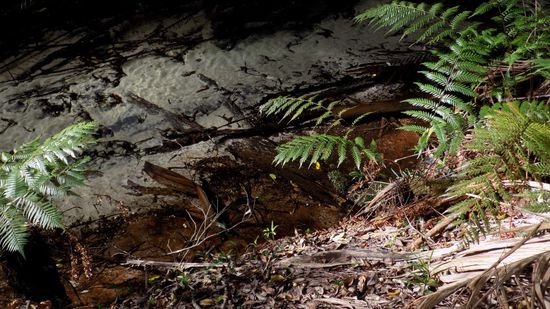 über dem weissen Sand sind nach ca. 30cm kristallglasklares Wasser!!