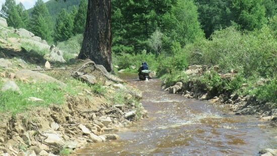 nein, das ist nicht der Bach, 
das ist die Strasse