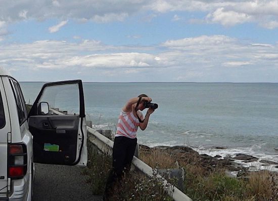 Auto anhalten, aussteigen, Foto machen und weiterfahren... So sah das Programm am heutigen Nachmittag aus..... 