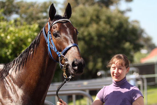 December Draw und ich nach dem Schwimmen (nur das Pferd war im Pool). (im späten Oktober)