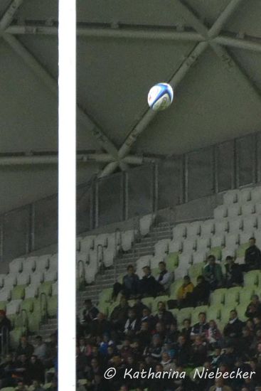 Da fliegt das Ei durch die Streben des H-förmigen Tores. Die Fans freuen sich...