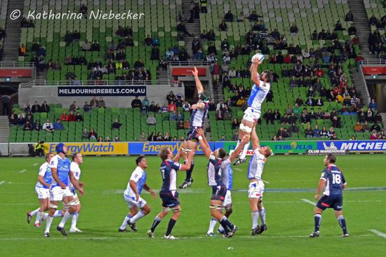 Neben Handgreiflichkeiten wurde auch für das "Cheerleading" geübt. Kleiner Scherz am Rande..... Sieht aber schon sehr akrobatisch aus, was die Jungs da machen, um bei einem Einwurf an das Ei zu gelangen.