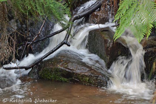 "Upper Falls" (oberer Bereich des Wasserfalls) am Olinda Creek