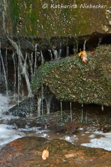 Und noch eine Detail-Aufnahme 