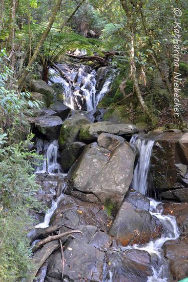 Der "Olinda-Fall" zieht sich über viele kleine Stufen ins Tal hinab....