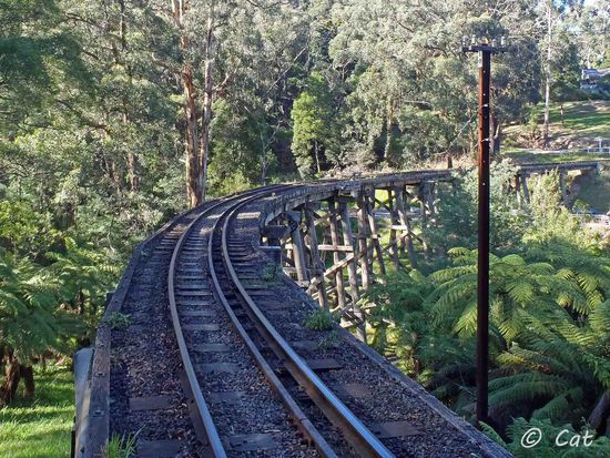 Ein Blick auf die Schmalspurbahn - gut das gerade kein Zug kam 