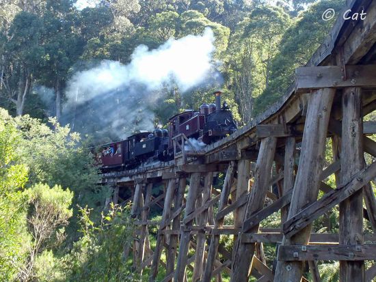 Da kommt der Puffing Billy, eine der wenigen historischen Dampfeisenbahnen Australiens....
