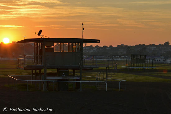 Links das mittlere und rechts das erste Häuschen, während ich auf dem dritten stehe. Jeder Trainer hat seinen angestammten Platz in einem der Hütten. Wonach sich das richtet, ist mir nicht ganz klar. Wahrscheinlich welcher Trainer mit welchem am besten auskommt.