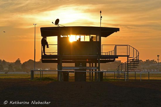 Da ich mich für keins der Fotos entscheiden konnte, kommen hier halt alle zur Erscheinung. Sorry  Aber ich liebe diese Sonnenaufgänge hier auf der Rennbahn.... Bekommt man ja jeden morgen auf dem Tablett serviert.